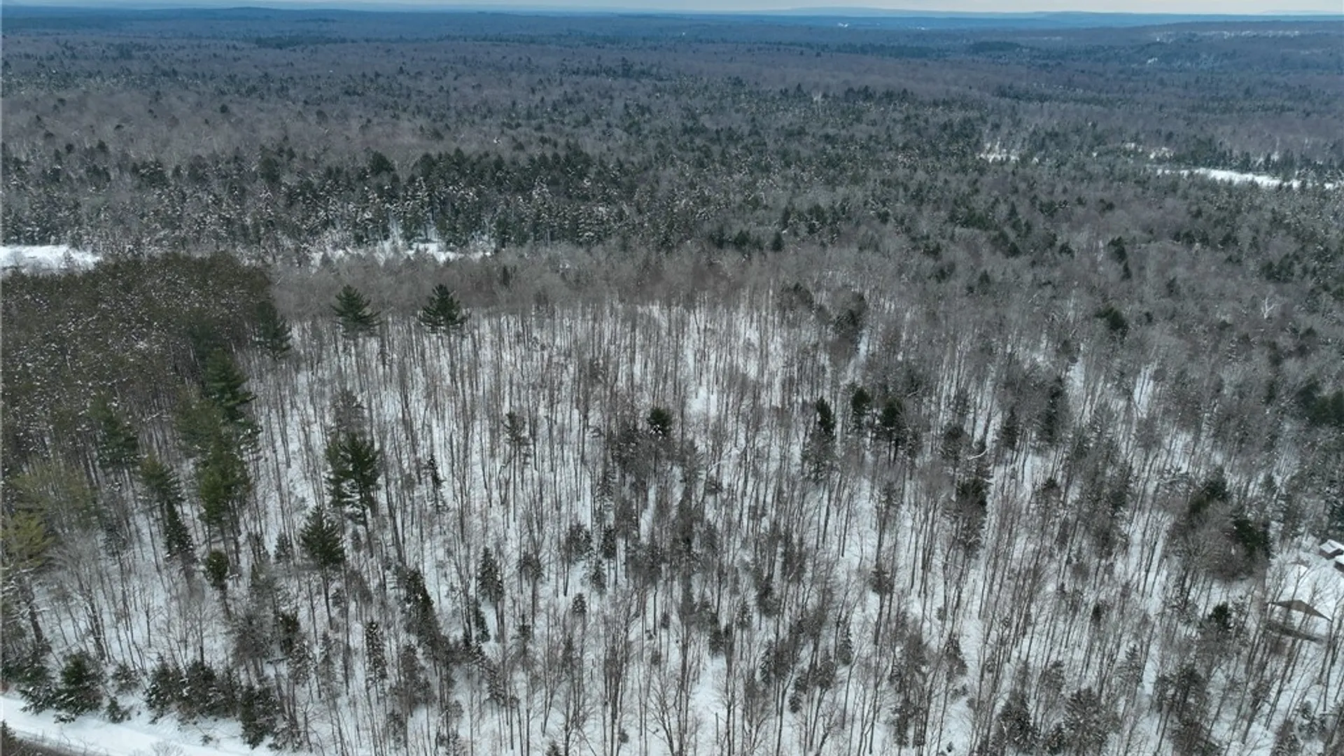 Property at Lot #3 Roberts Road, Remsen, NY 13438 18