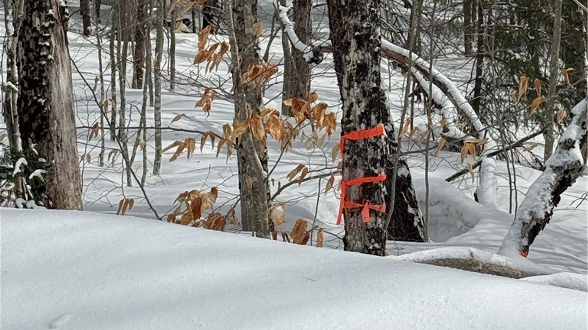 Property at Lot #3 Roberts Road, Remsen, NY 13438 2