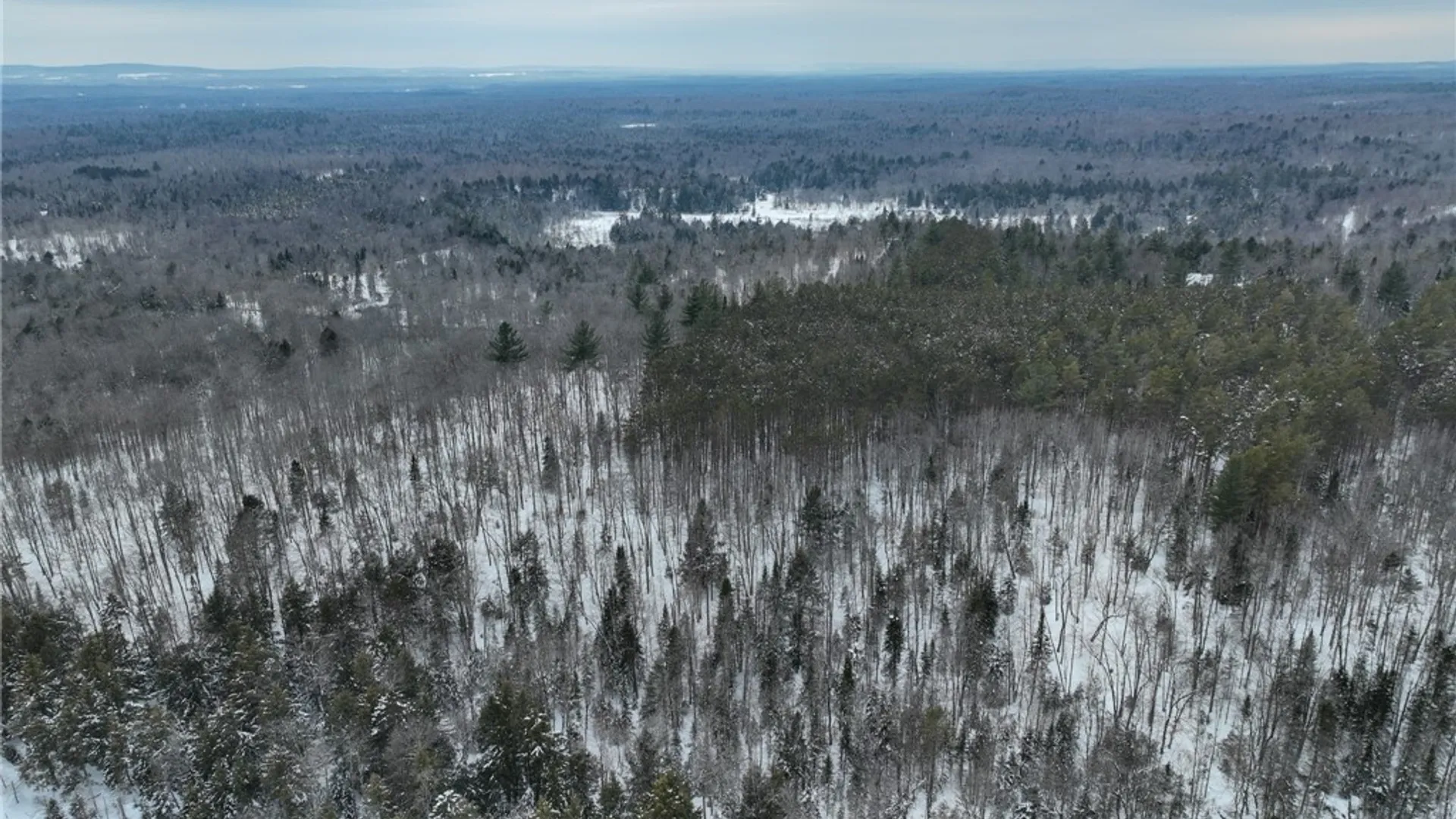 Property at Lot #3 Roberts Road, Remsen, NY 13438 28