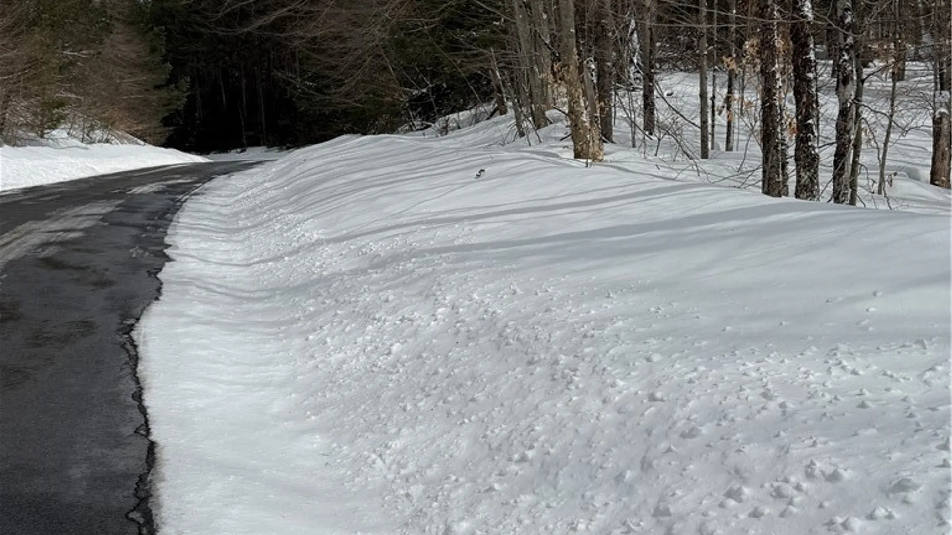 Property at Lot #3 Roberts Road, Remsen, NY 13438 4