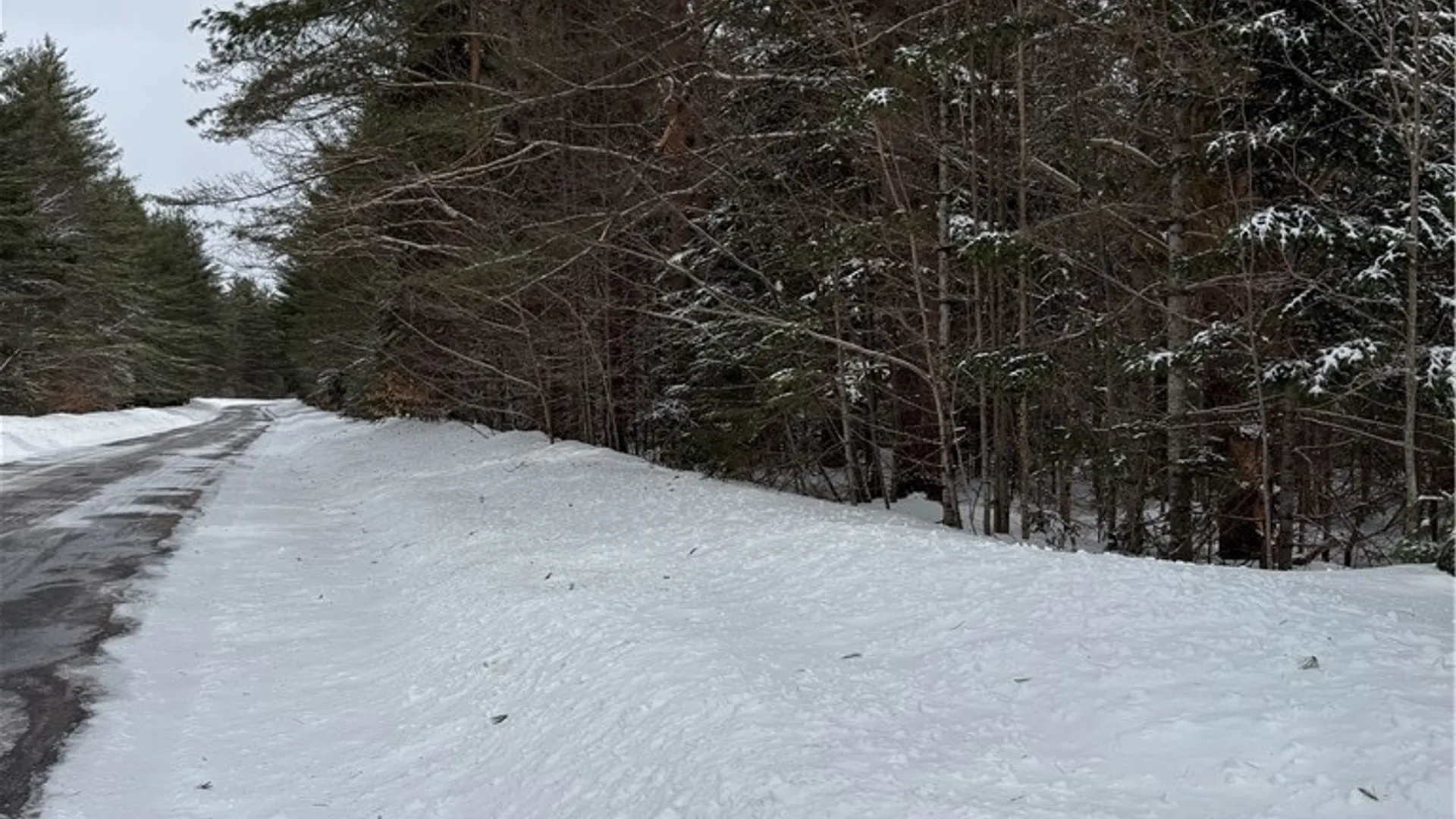 Property at Lot #2 Roberts Road, Remsen, NY 13438 2