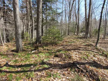 Property at State Route 28, Webb, NY 13420