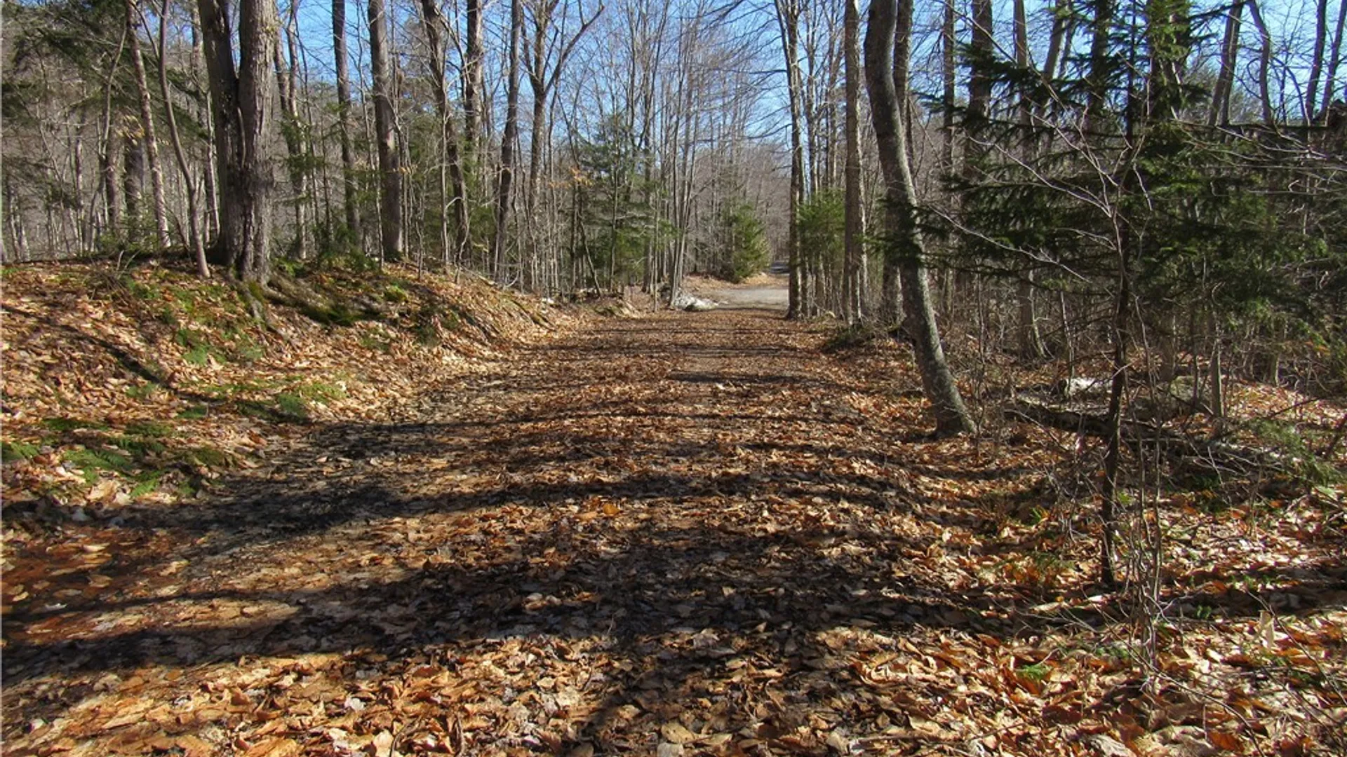 Property at State Route 28, Webb, NY 13420 2