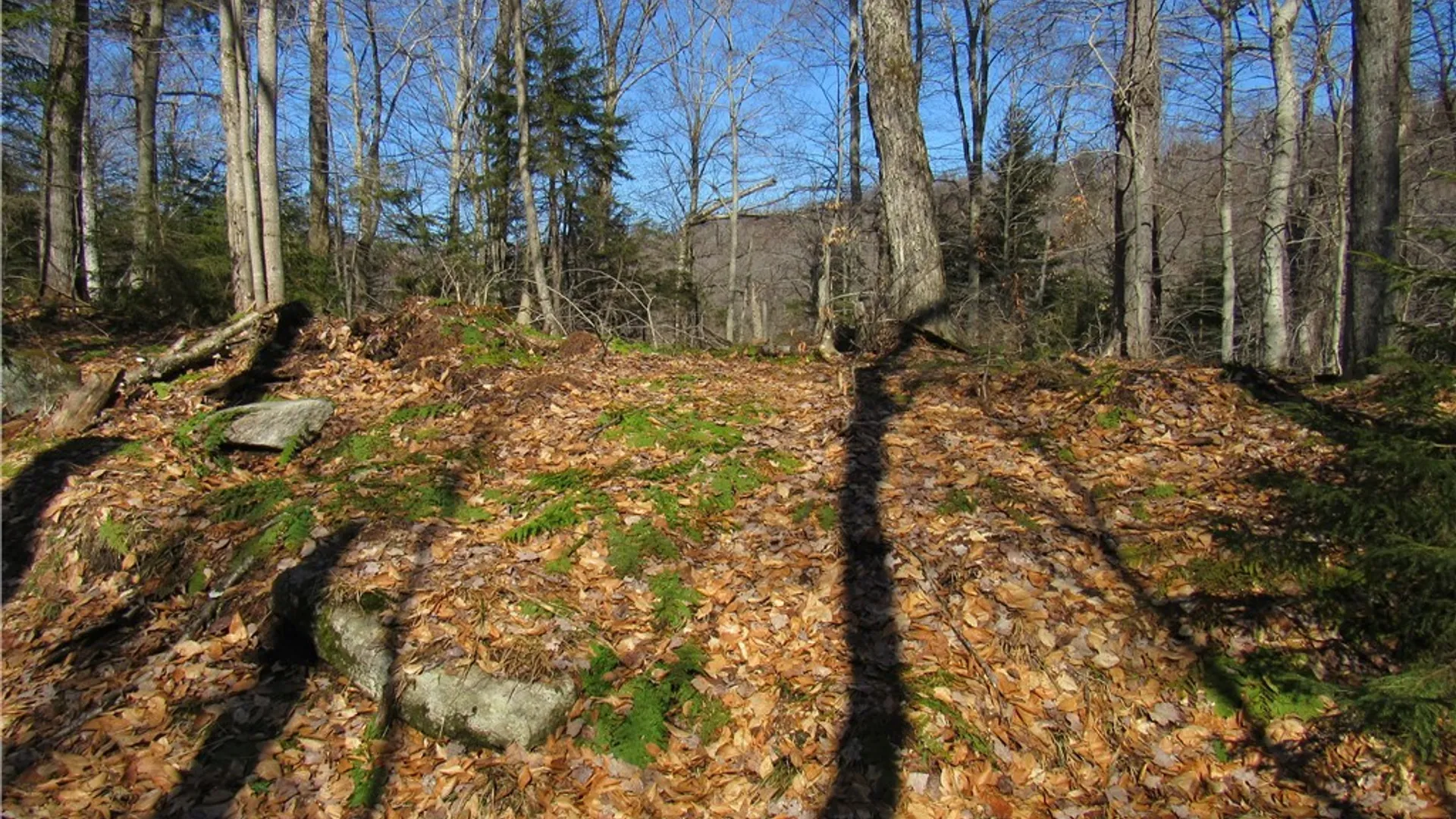 Property at State Route 28, Webb, NY 13420 3