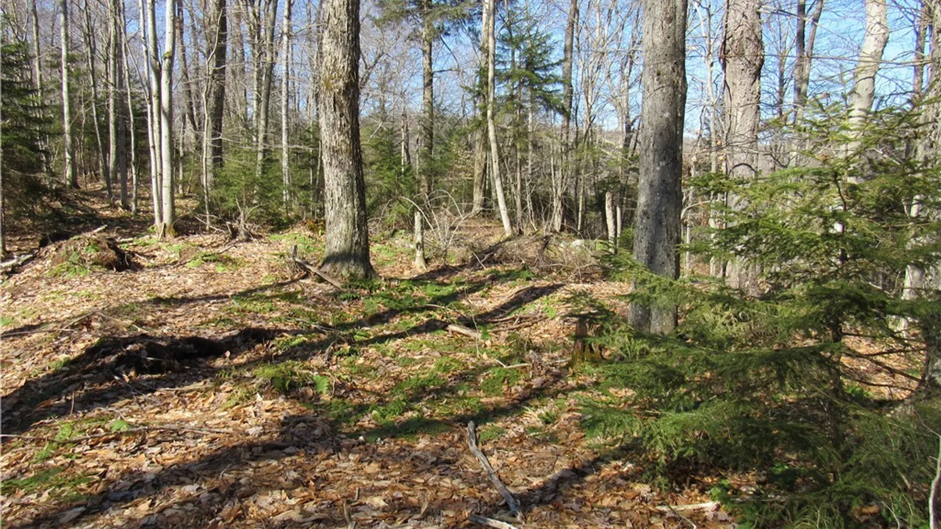 Property at State Route 28, Webb, NY 13420 4
