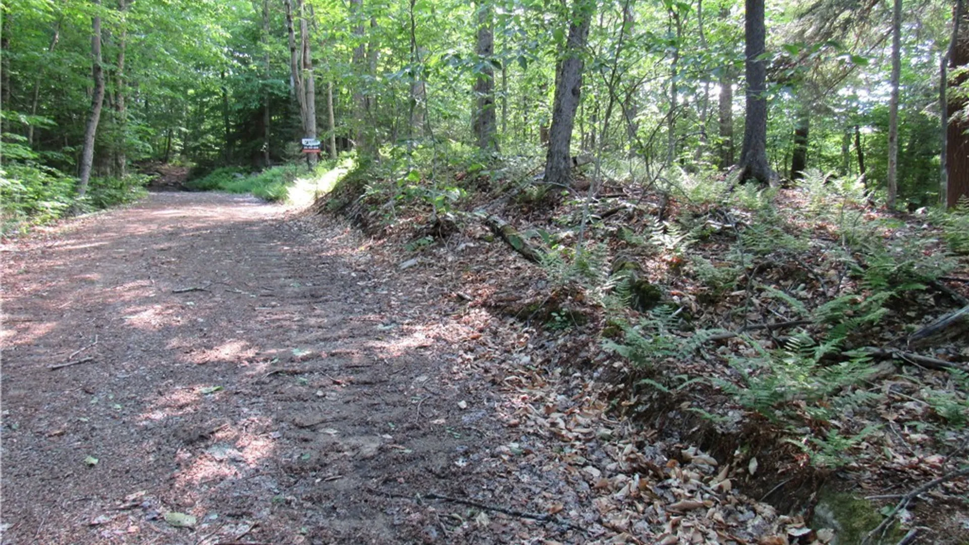 Property at State Route 28, Webb, NY 13420 5