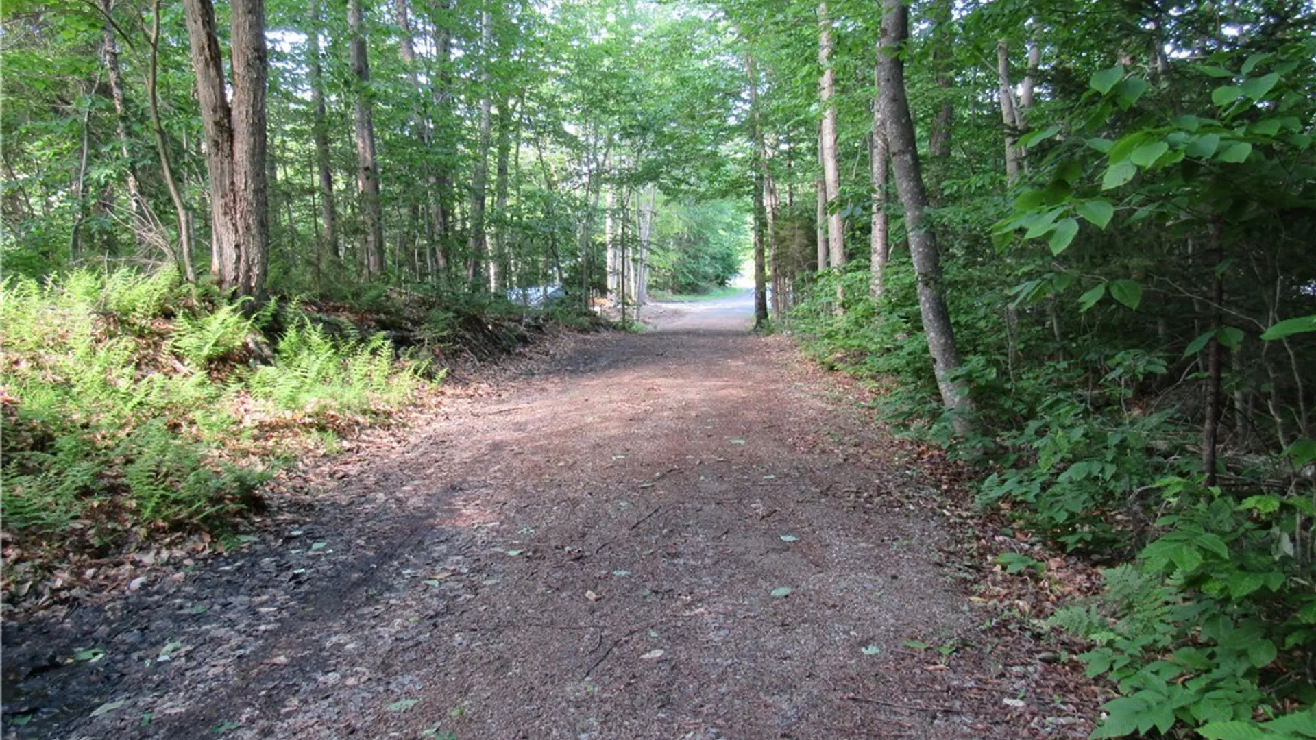 Property at State Route 28, Webb, NY 13420 9