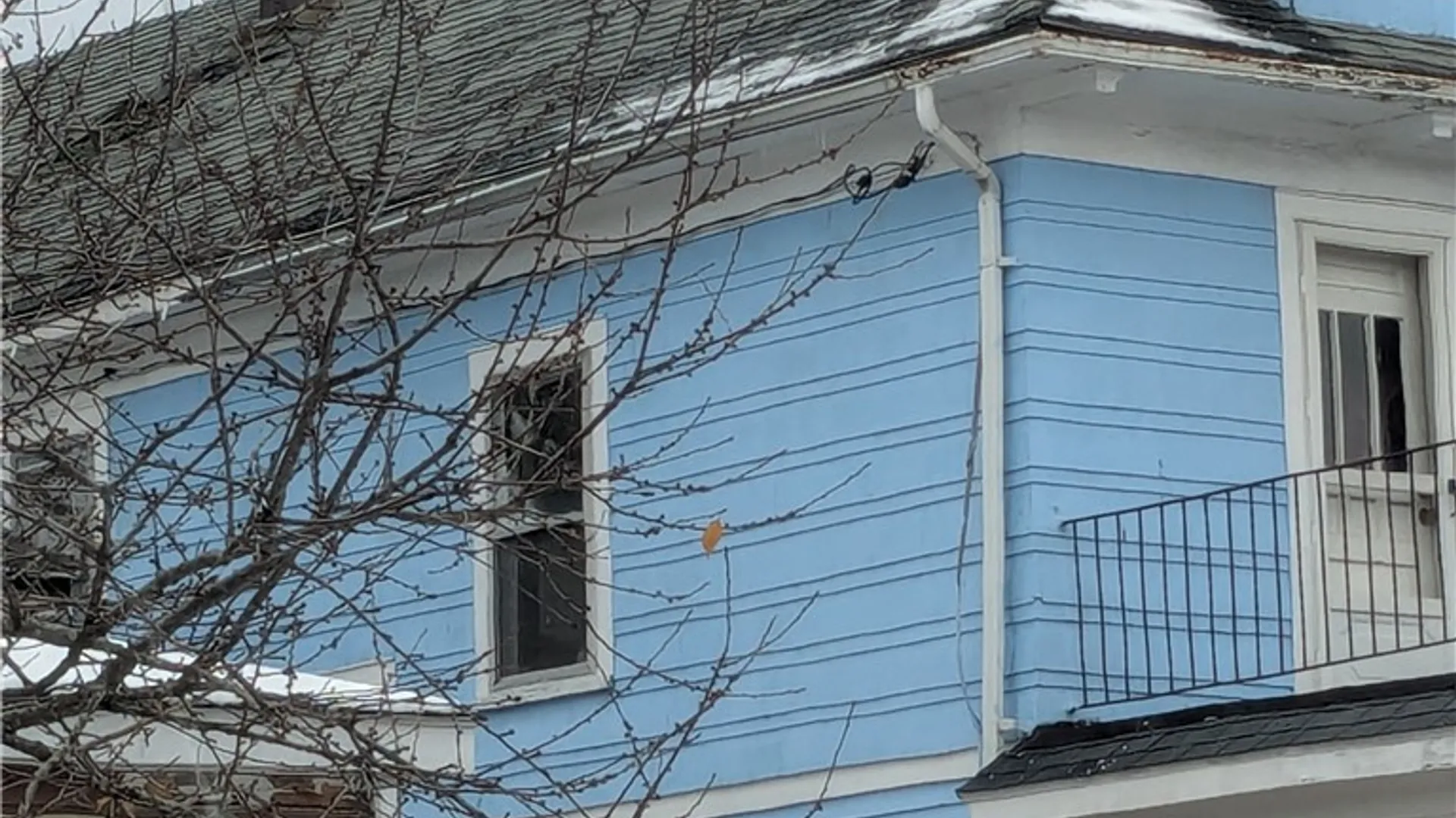 Property at 109 Shirley Avenue, Buffalo, NY 14215 2