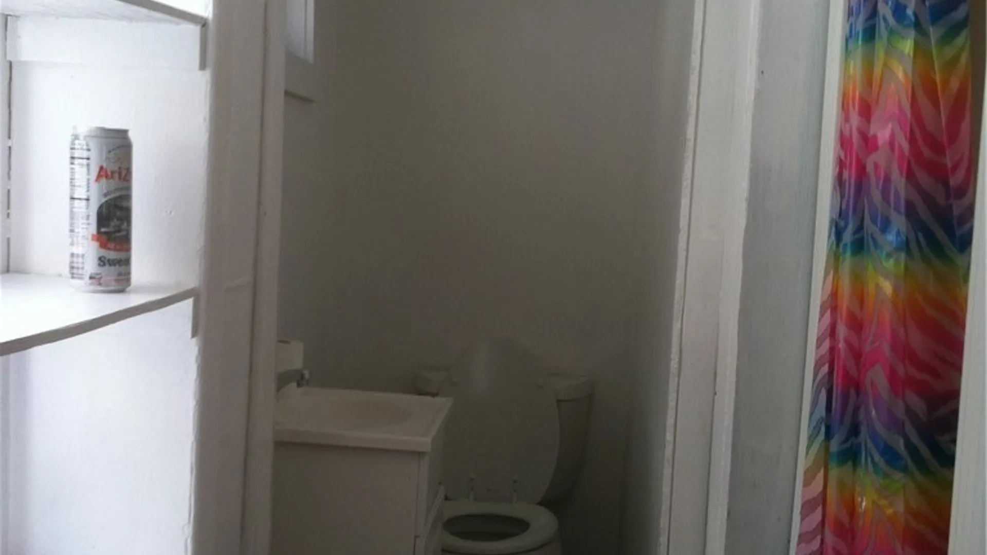 Property at 1110 Butternut Street, Syracuse, NY 13208 17