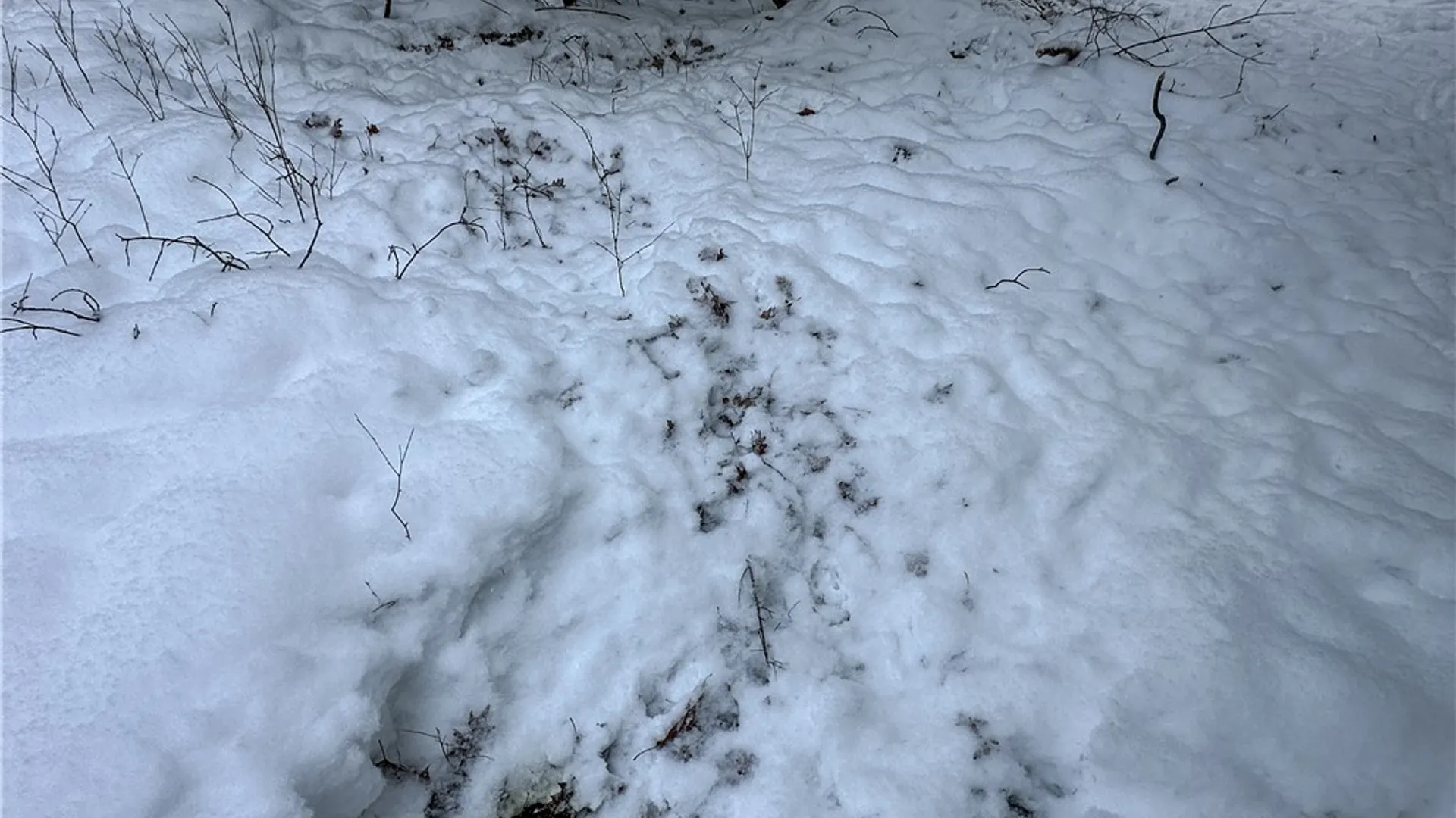 Property at Buffalo Street, Wayland, NY 14572 11