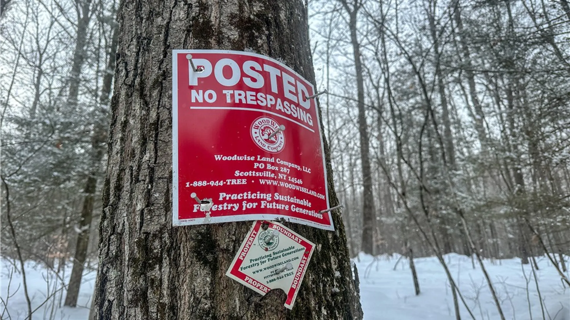 Property at Buffalo Street, Wayland, NY 14572 12