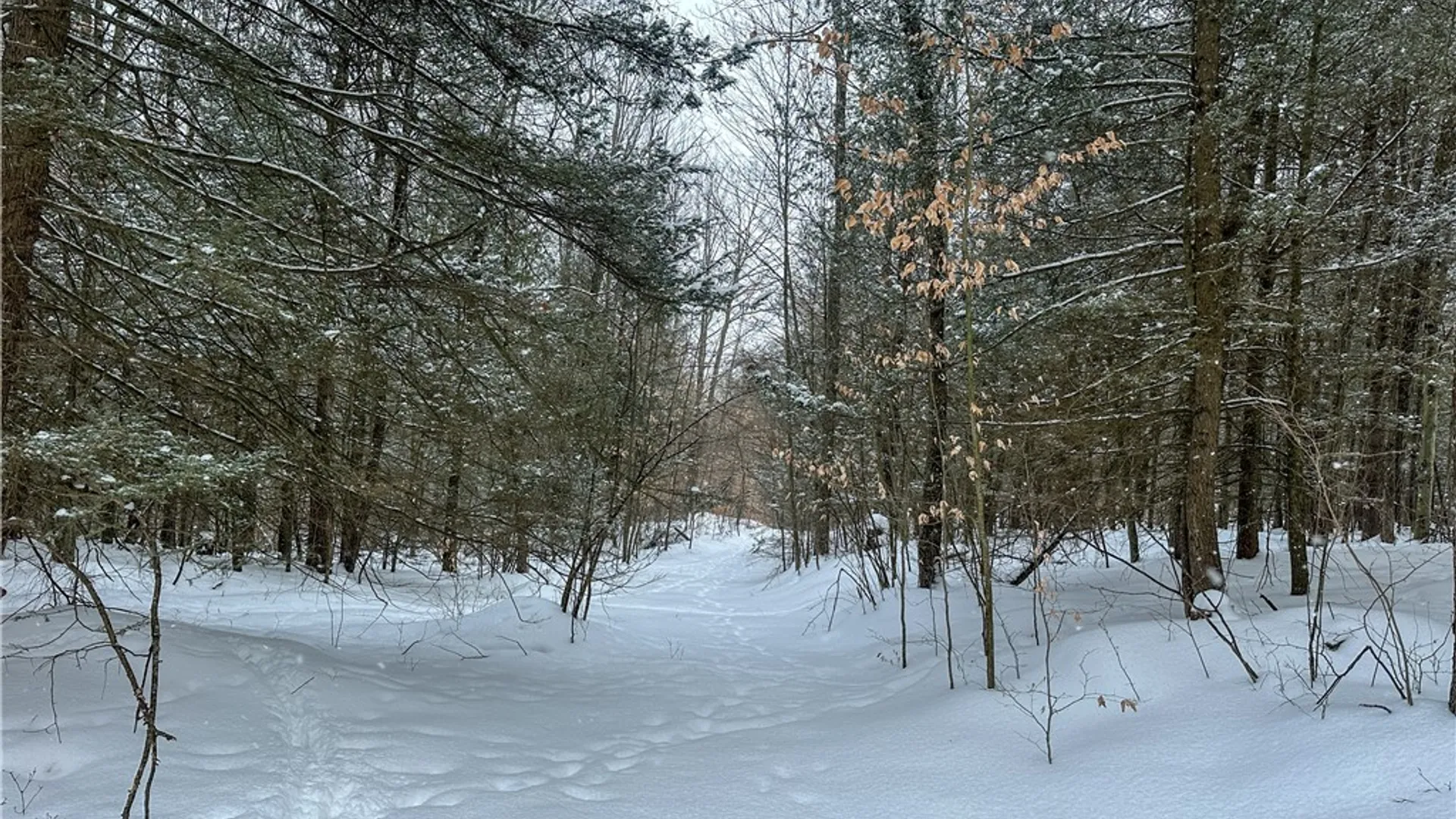 Property at Buffalo Street, Wayland, NY 14572 13