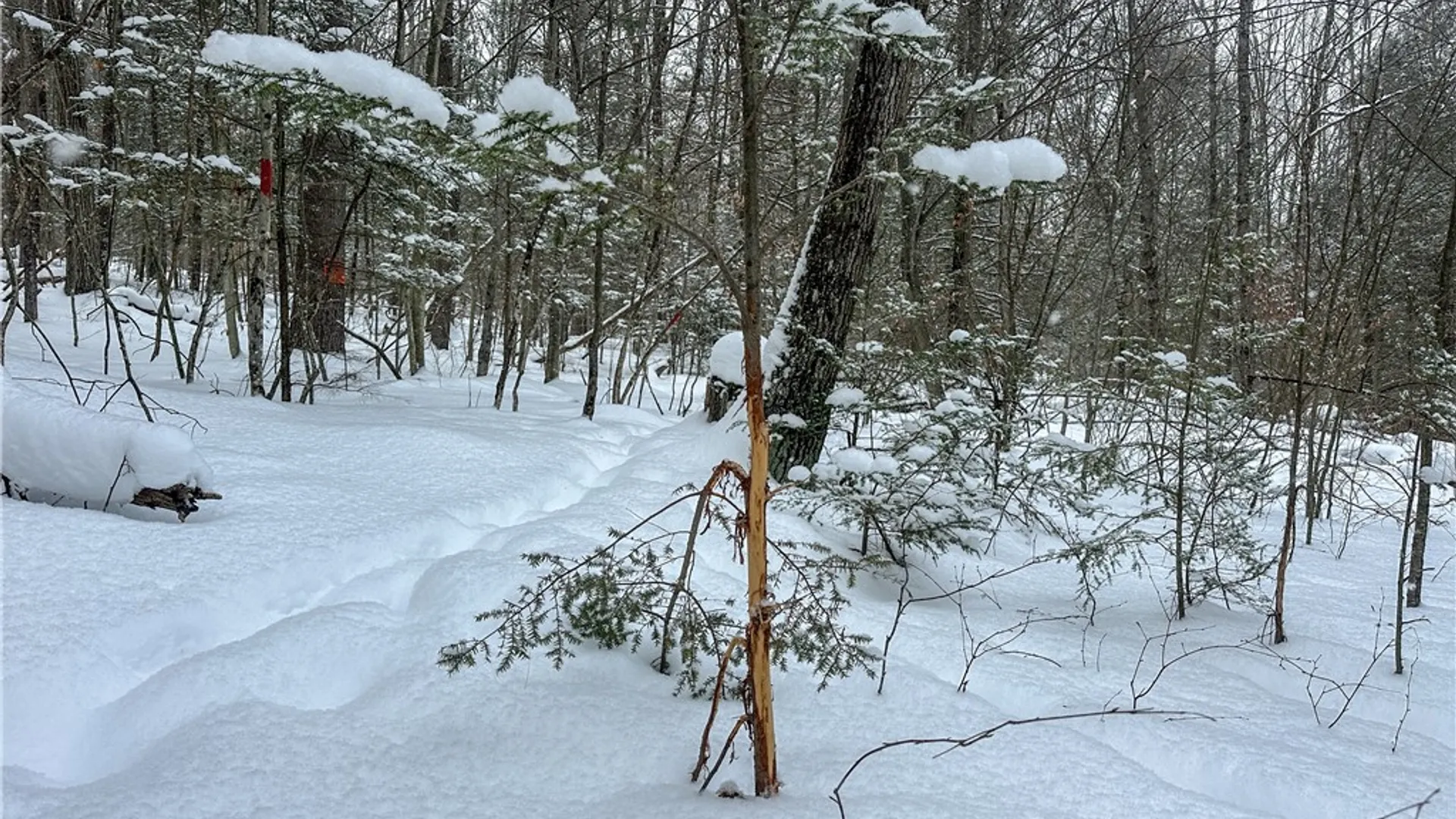 Property at Buffalo Street, Wayland, NY 14572 15