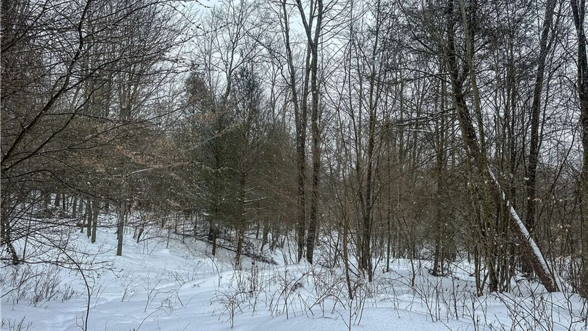 Property at Buffalo Street, Wayland, NY 14572 16