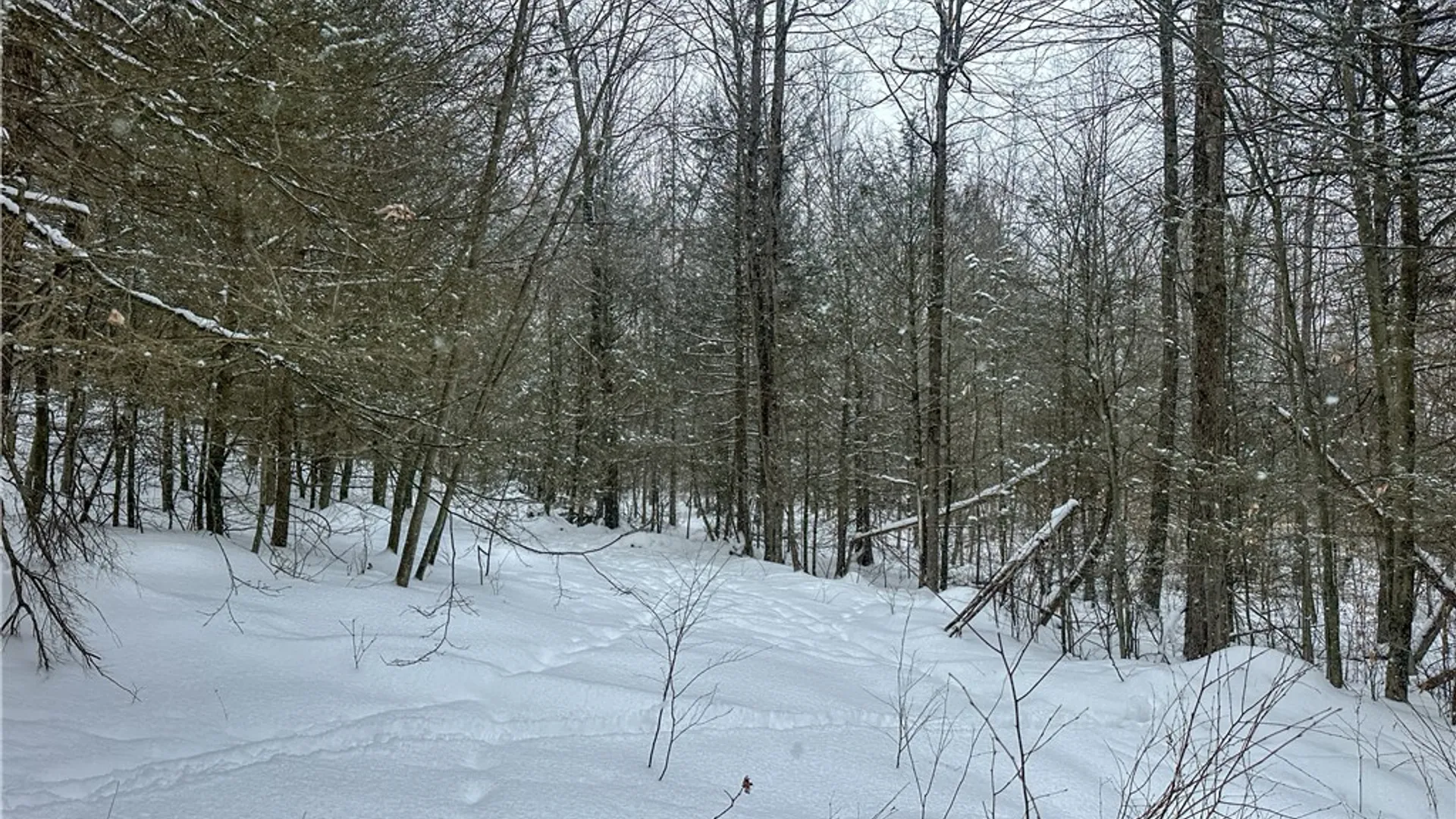 Property at Buffalo Street, Wayland, NY 14572 17