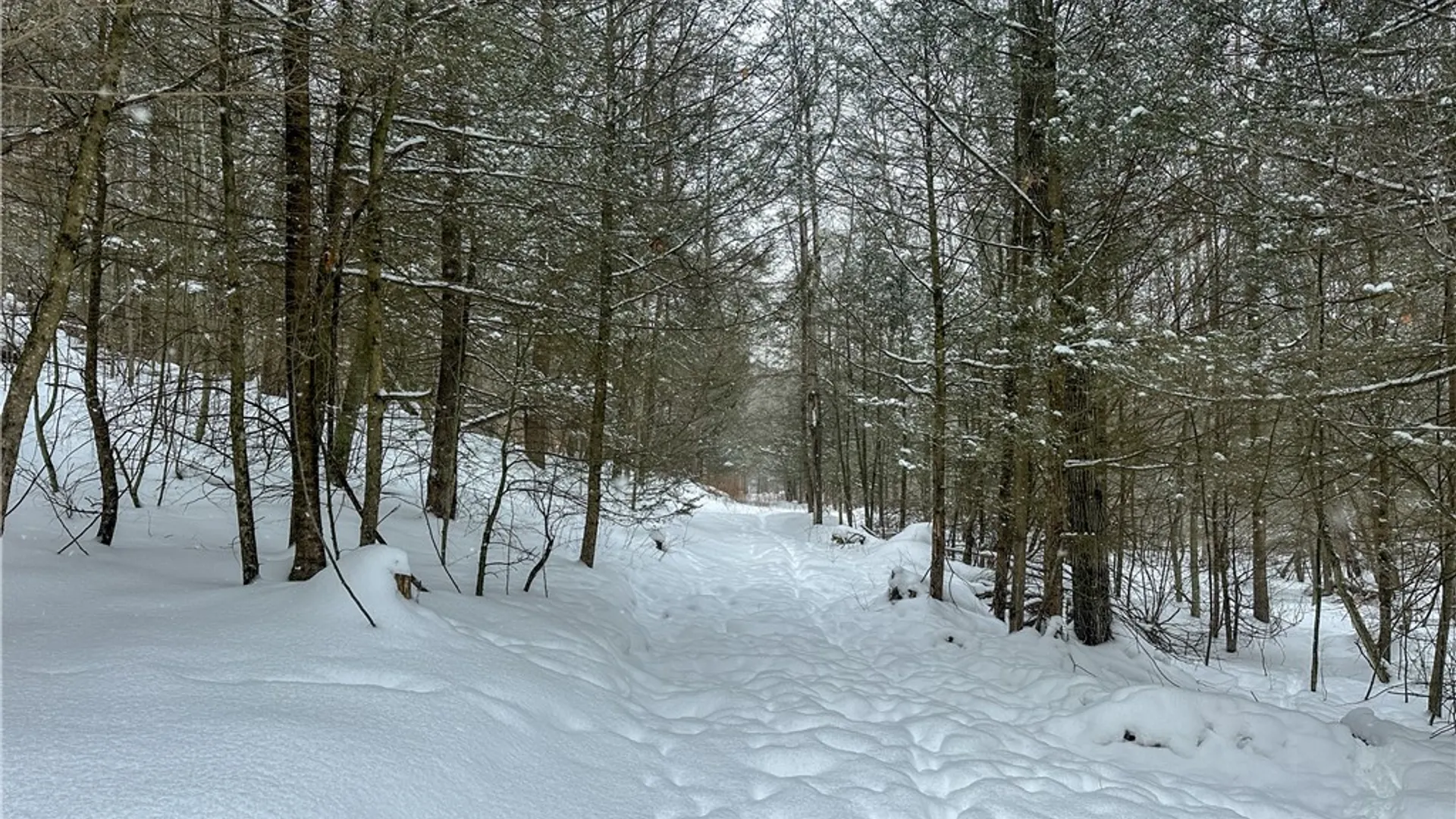 Property at Buffalo Street, Wayland, NY 14572 18