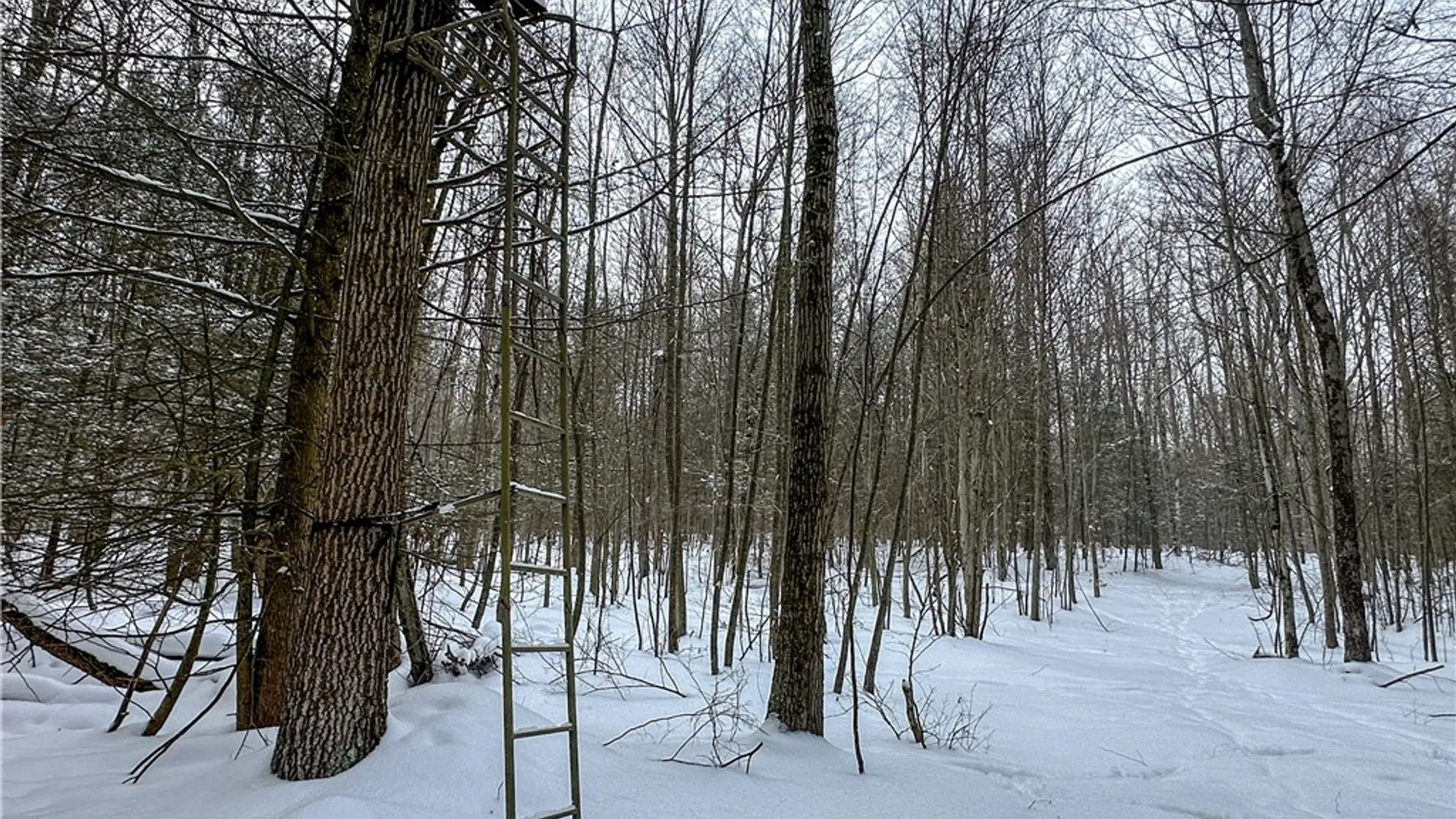 Property at Buffalo Street, Wayland, NY 14572 19