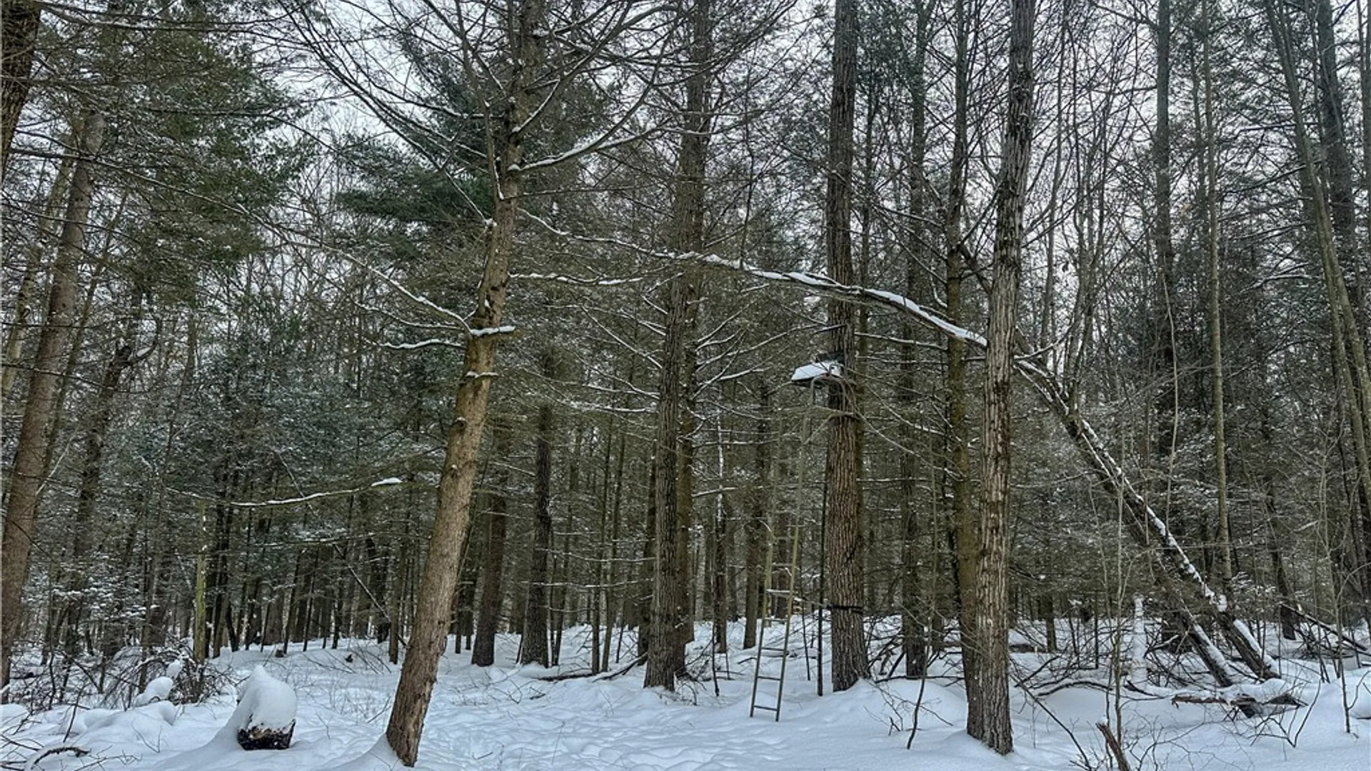 Property at Buffalo Street, Wayland, NY 14572 20