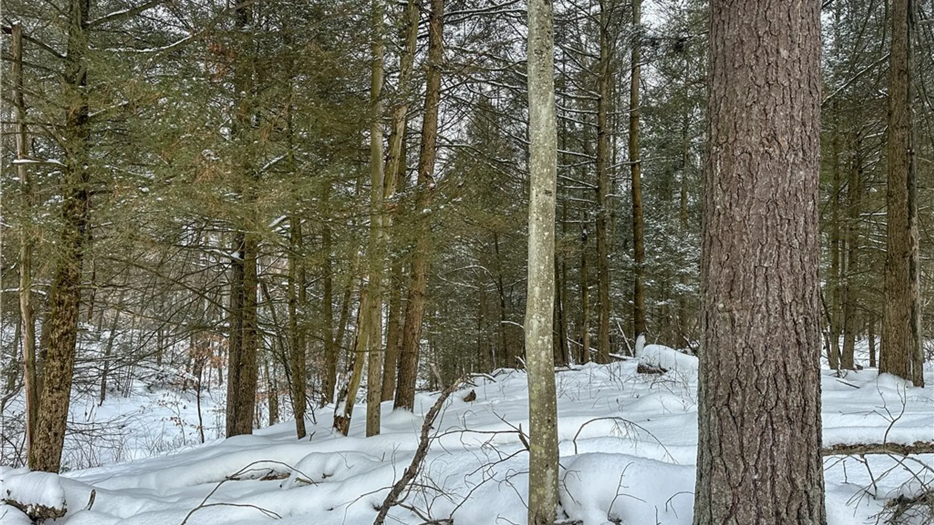 Property at Buffalo Street, Wayland, NY 14572 23