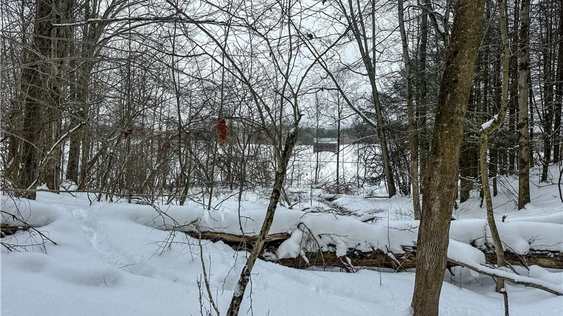 Property at Buffalo Street, Wayland, NY 14572 25