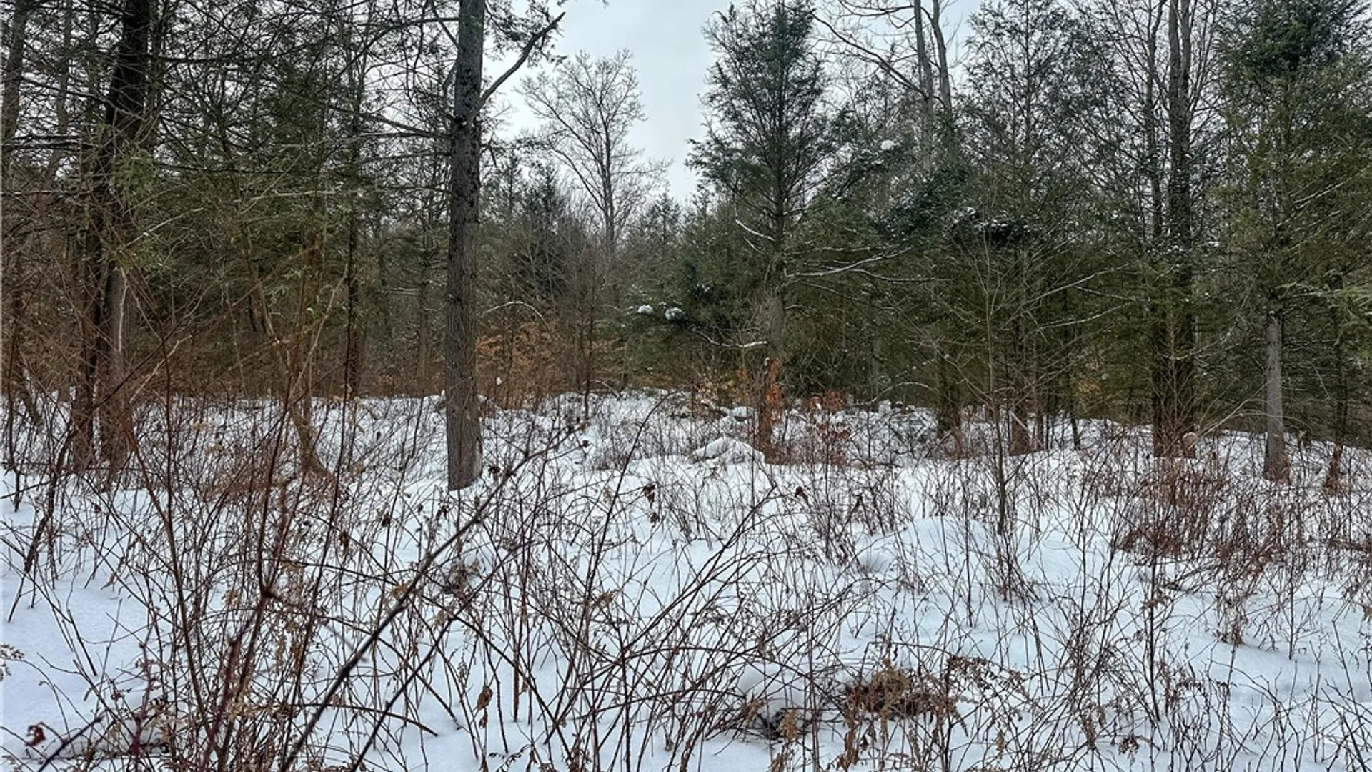 Property at Buffalo Street, Wayland, NY 14572 29