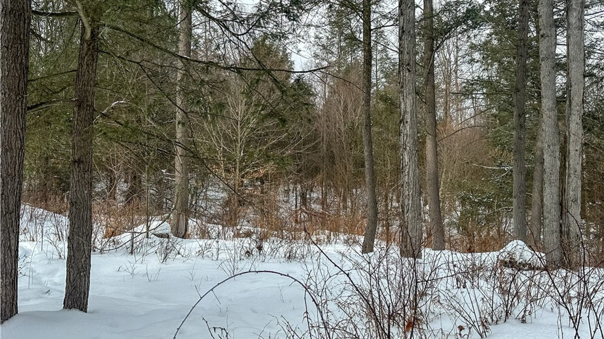 Property at Buffalo Street, Wayland, NY 14572 30