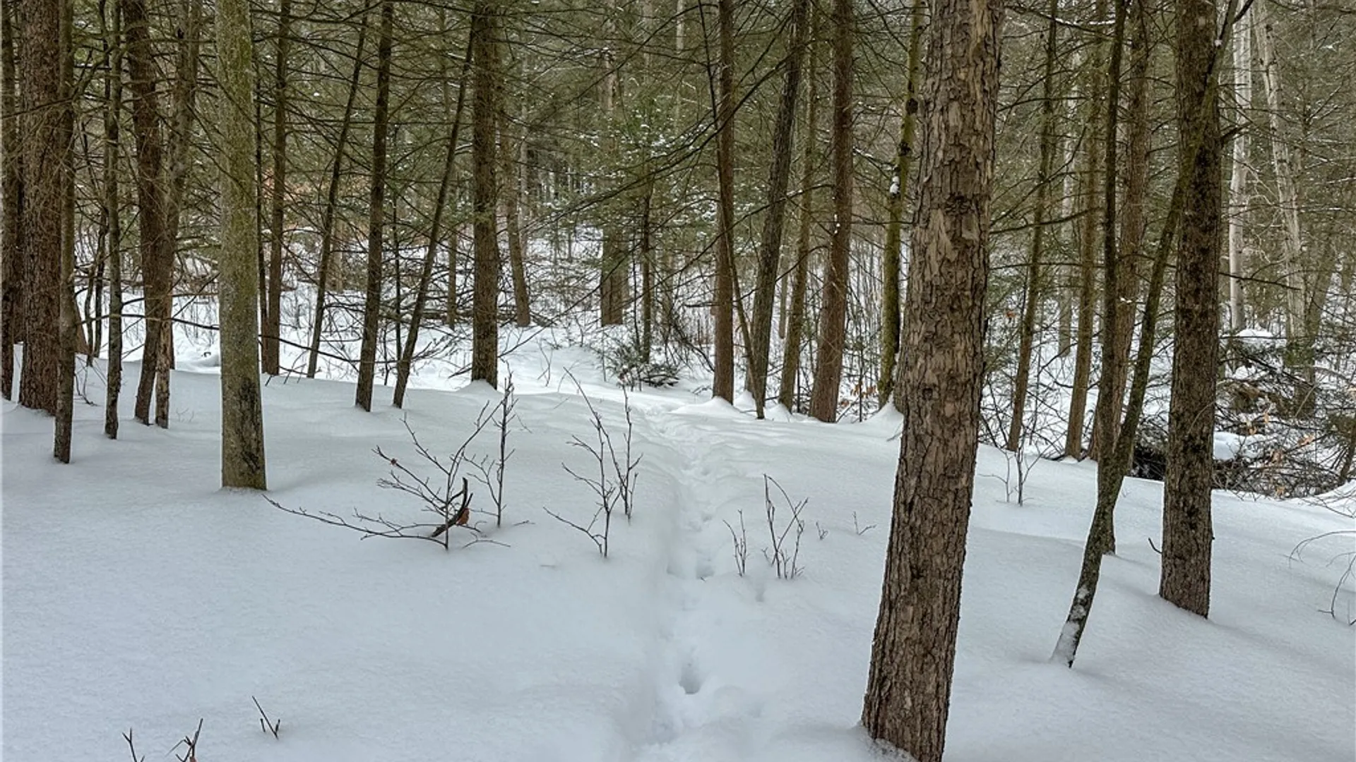 Property at Buffalo Street, Wayland, NY 14572 31