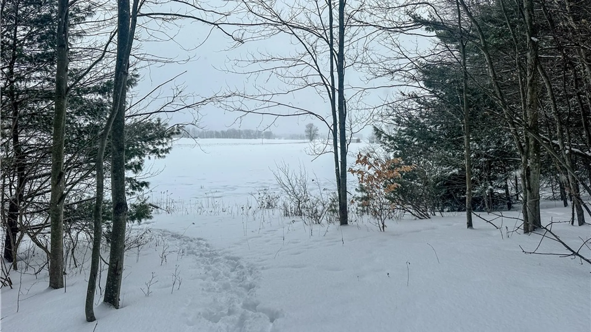 Property at Buffalo Street, Wayland, NY 14572 4