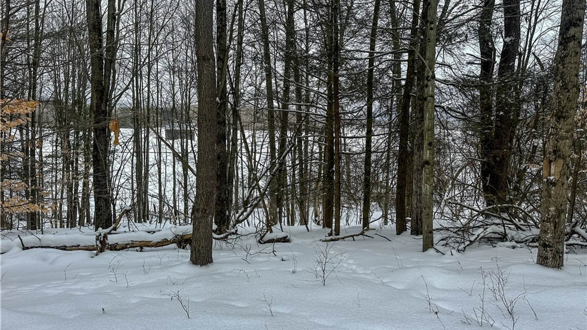 Property at Buffalo Street, Wayland, NY 14572 40