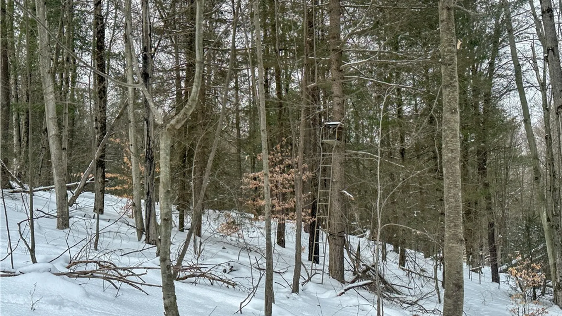 Property at Buffalo Street, Wayland, NY 14572 41