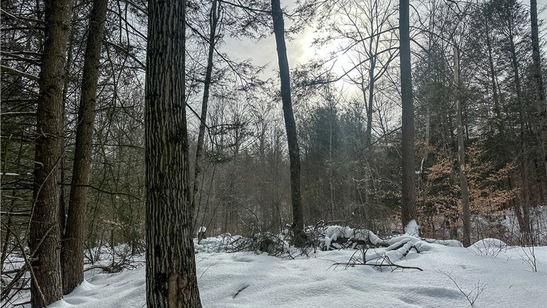 Property at Buffalo Street, Wayland, NY 14572 42