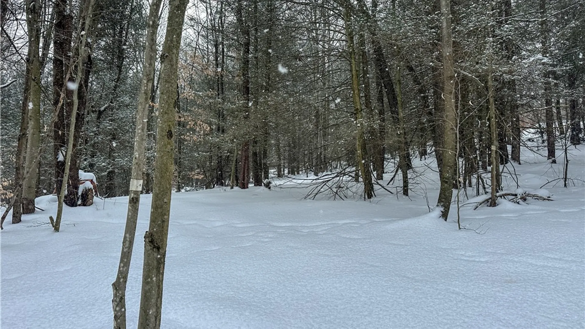 Property at Buffalo Street, Wayland, NY 14572 5