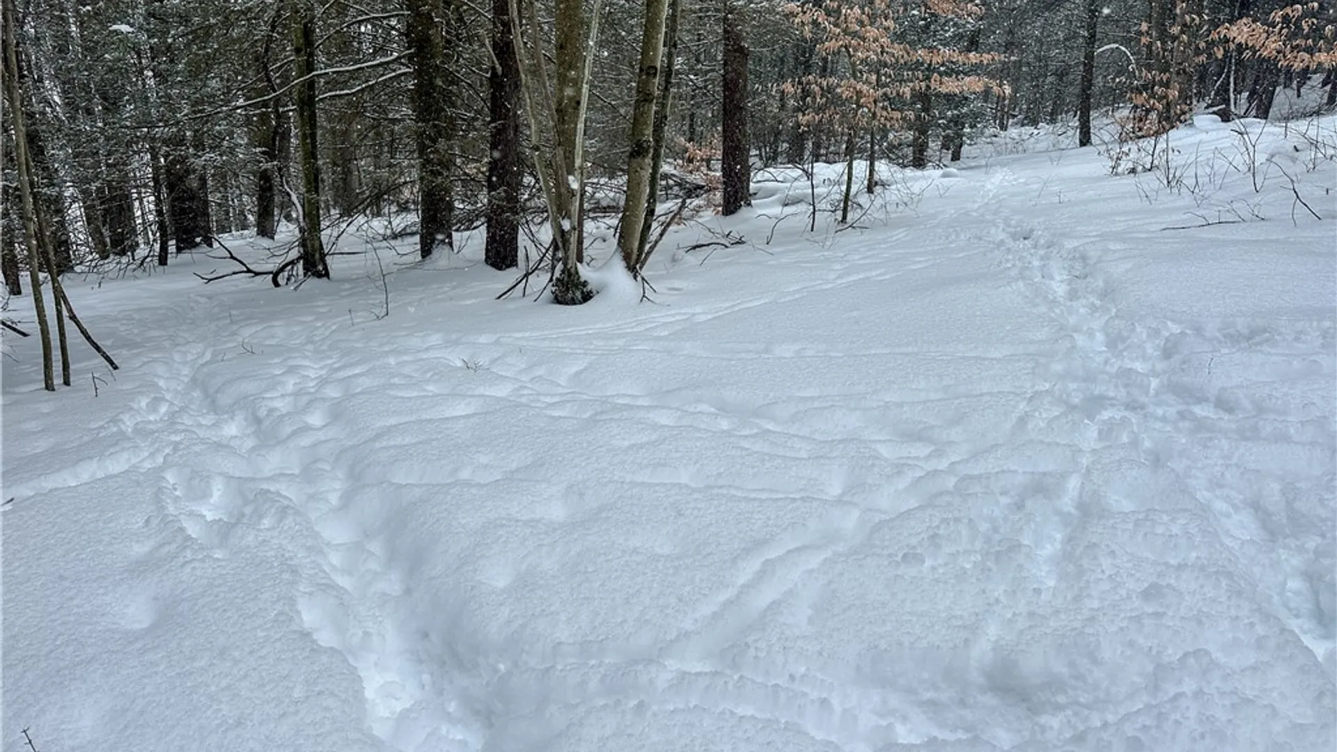 Property at Buffalo Street, Wayland, NY 14572 6