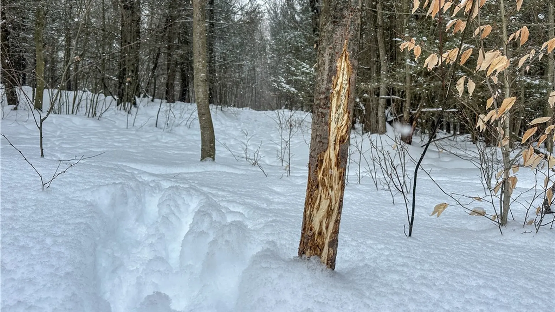 Property at Buffalo Street, Wayland, NY 14572 8