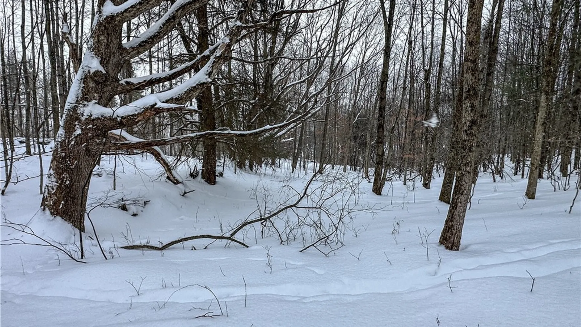 Property at VL Lot 1 Buffalo Rd, Wayland, NY 14572 11