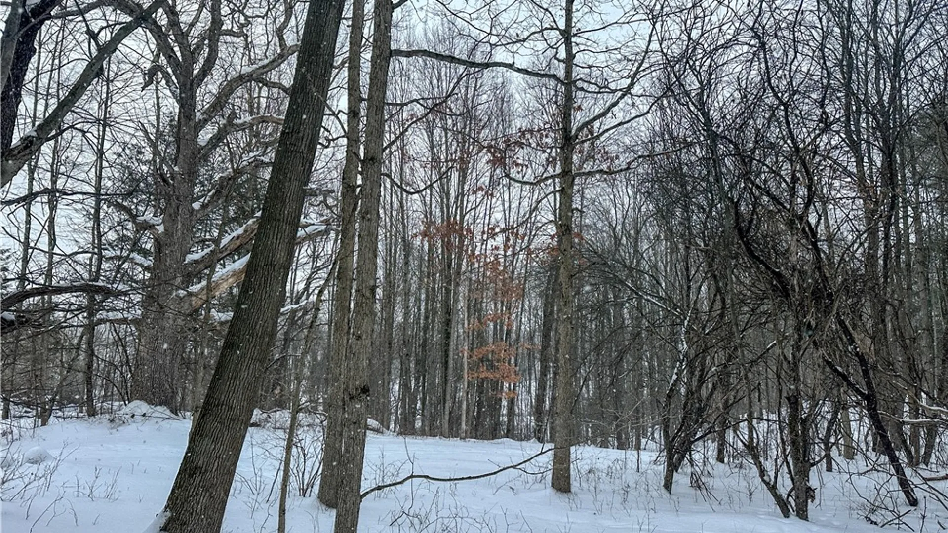 Property at VL Lot 1 Buffalo Rd, Wayland, NY 14572 13