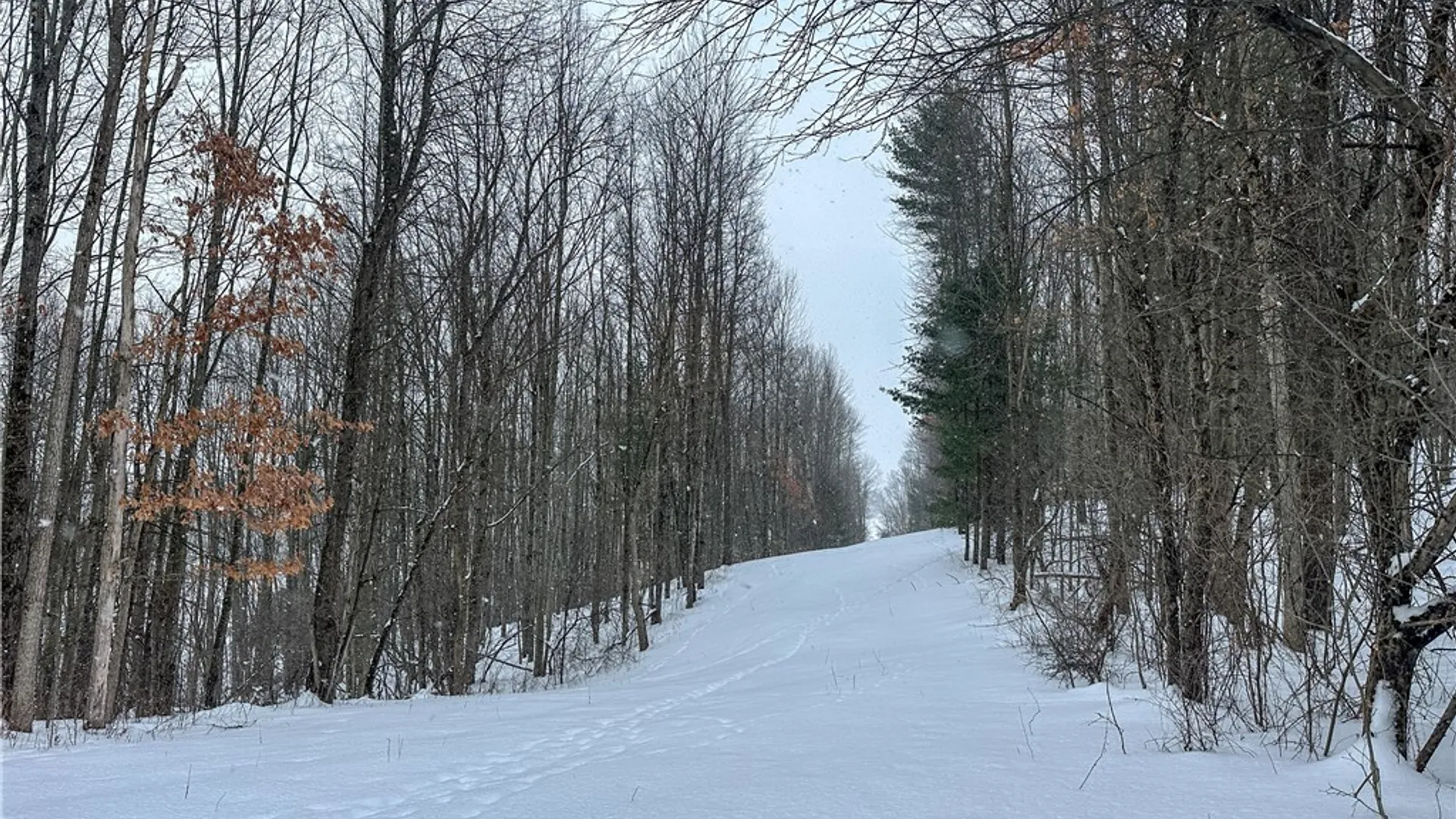 Property at VL Lot 1 Buffalo Rd, Wayland, NY 14572 14