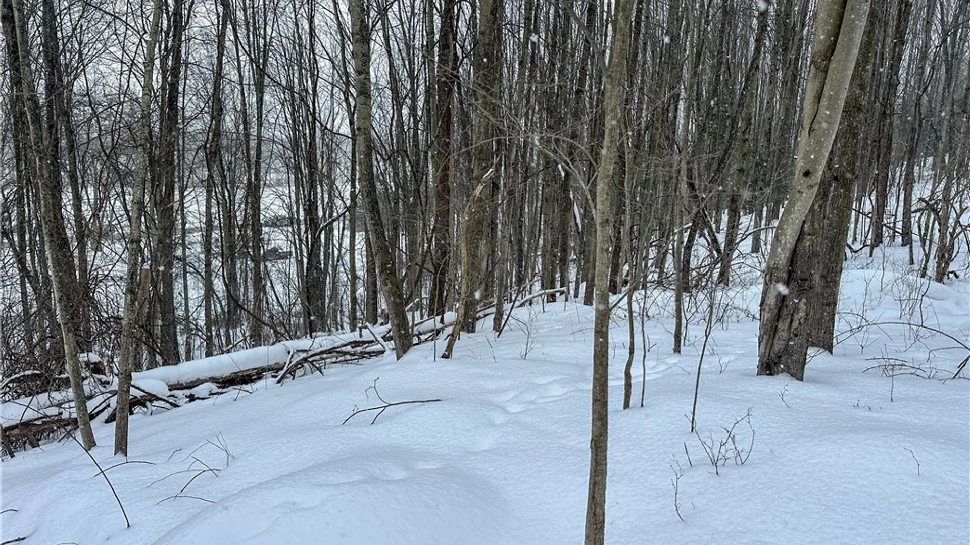 Property at VL Lot 1 Buffalo Rd, Wayland, NY 14572 15