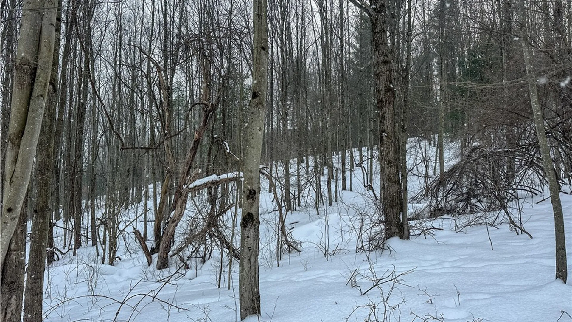 Property at VL Lot 1 Buffalo Rd, Wayland, NY 14572 16