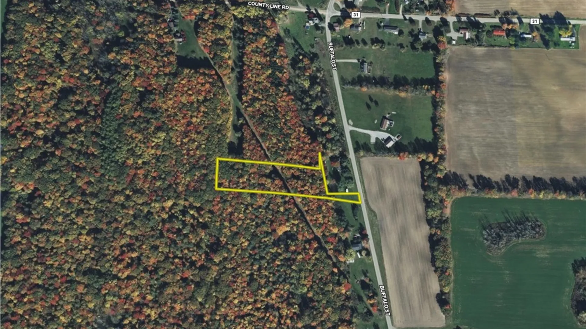 Property at VL Lot 1 Buffalo Rd, Wayland, NY 14572 21