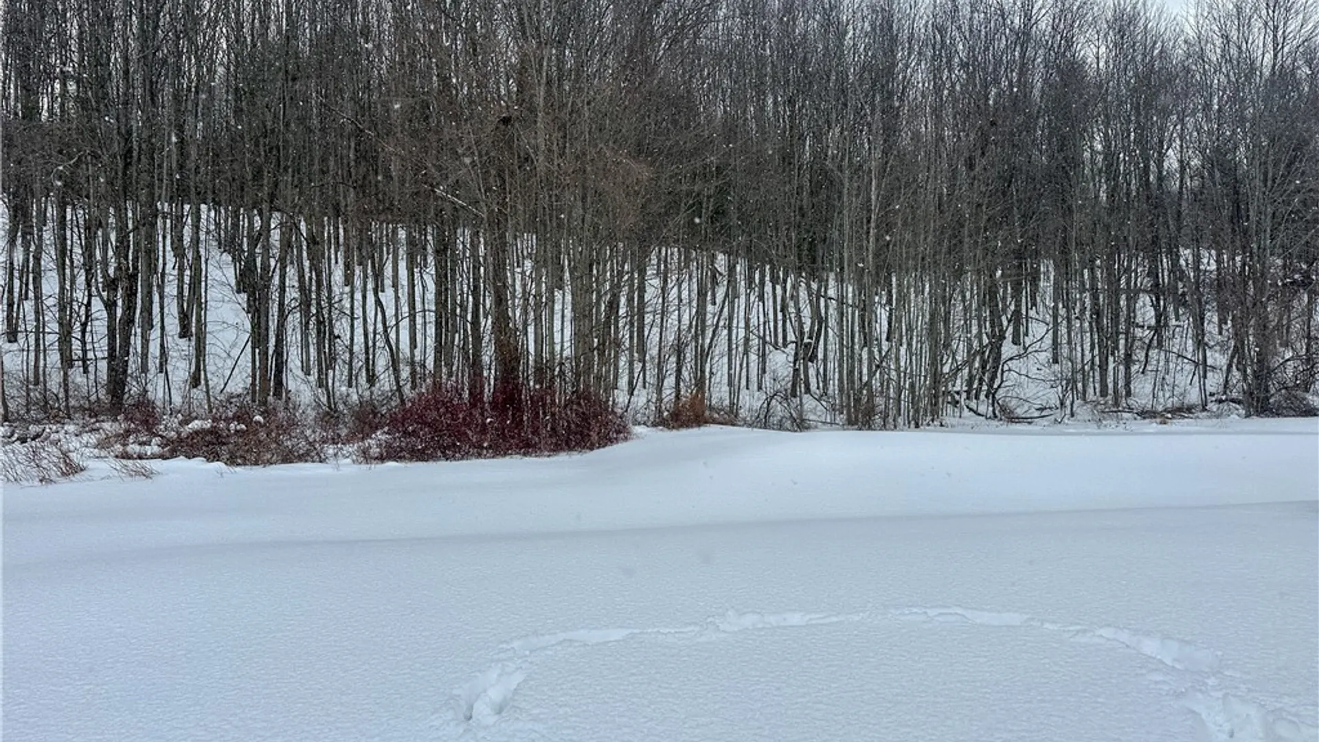 Property at VL Lot 1 Buffalo Rd, Wayland, NY 14572 3