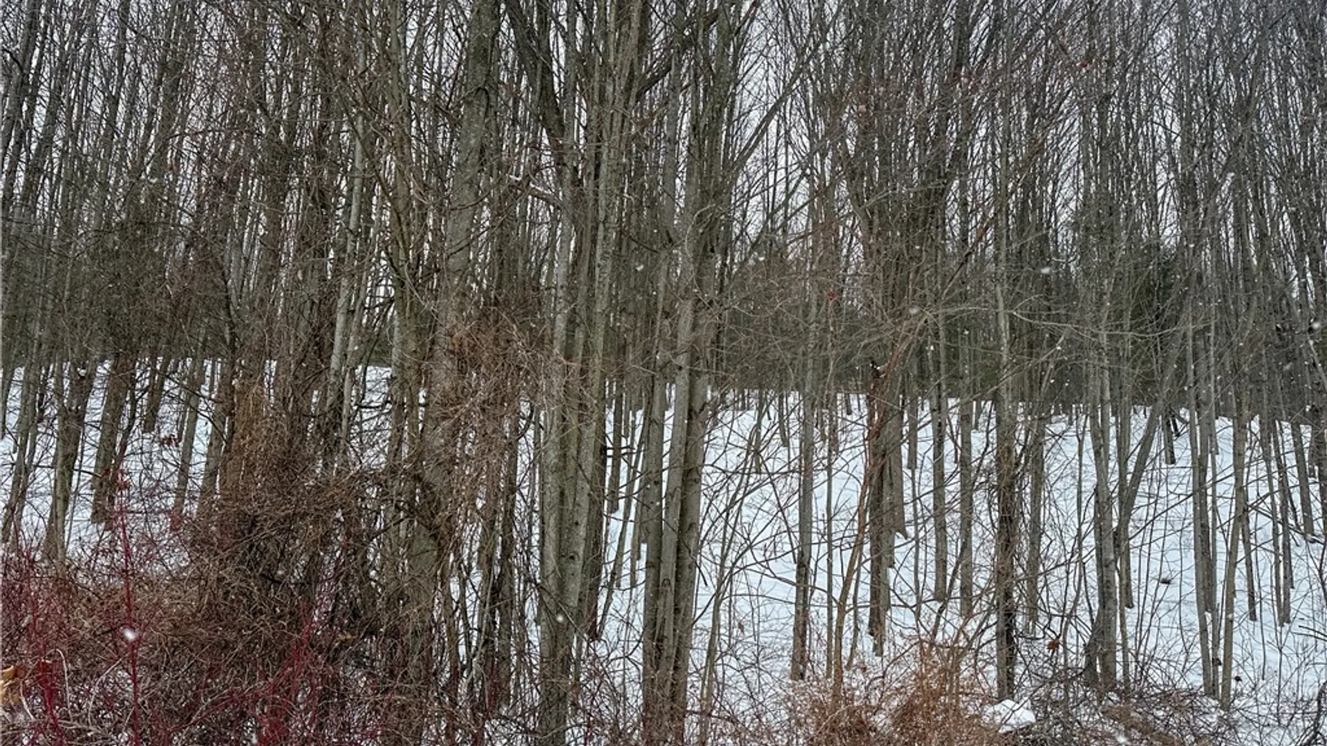 Property at VL Lot 1 Buffalo Rd, Wayland, NY 14572 4