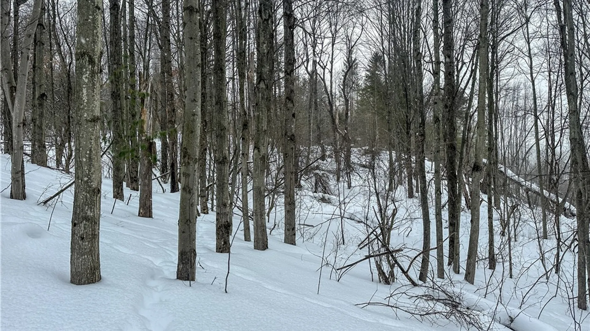 Property at VL Lot 1 Buffalo Rd, Wayland, NY 14572 6