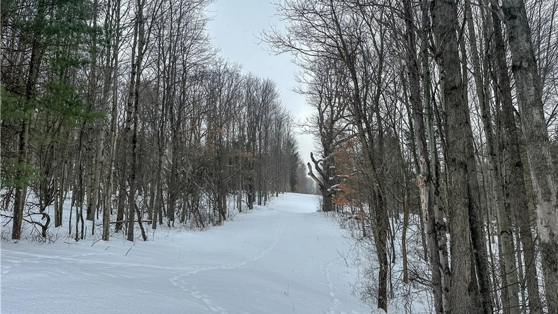 Property at VL Lot 1 Buffalo Rd, Wayland, NY 14572 7