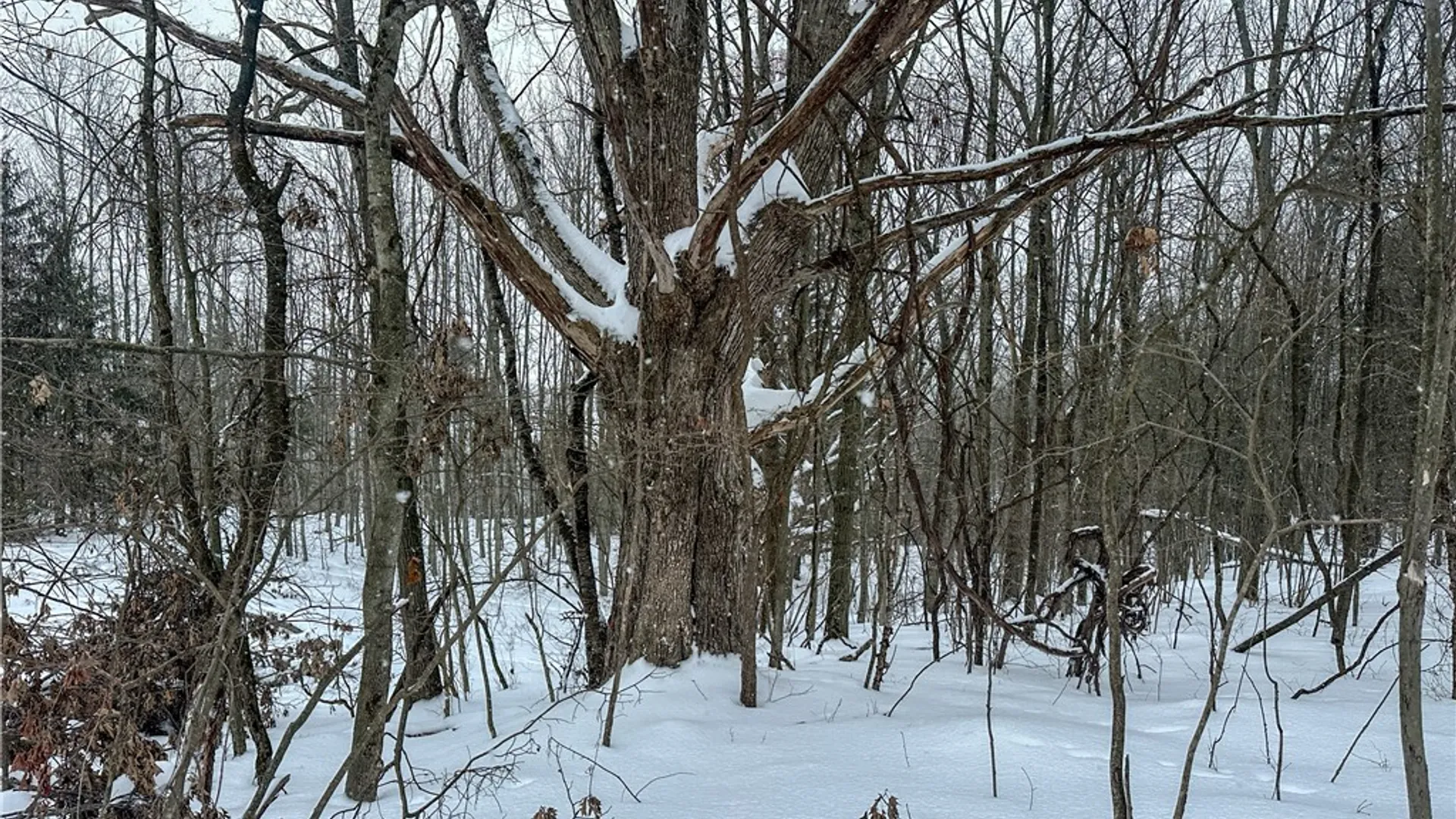 Property at VL Lot 1 Buffalo Rd, Wayland, NY 14572 8