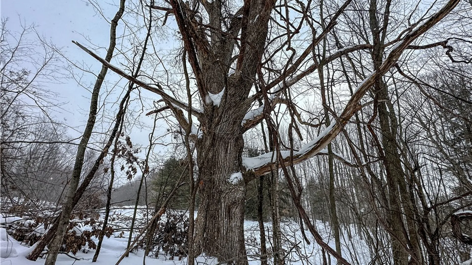 Property at VL Lot 1 Buffalo Rd, Wayland, NY 14572 9