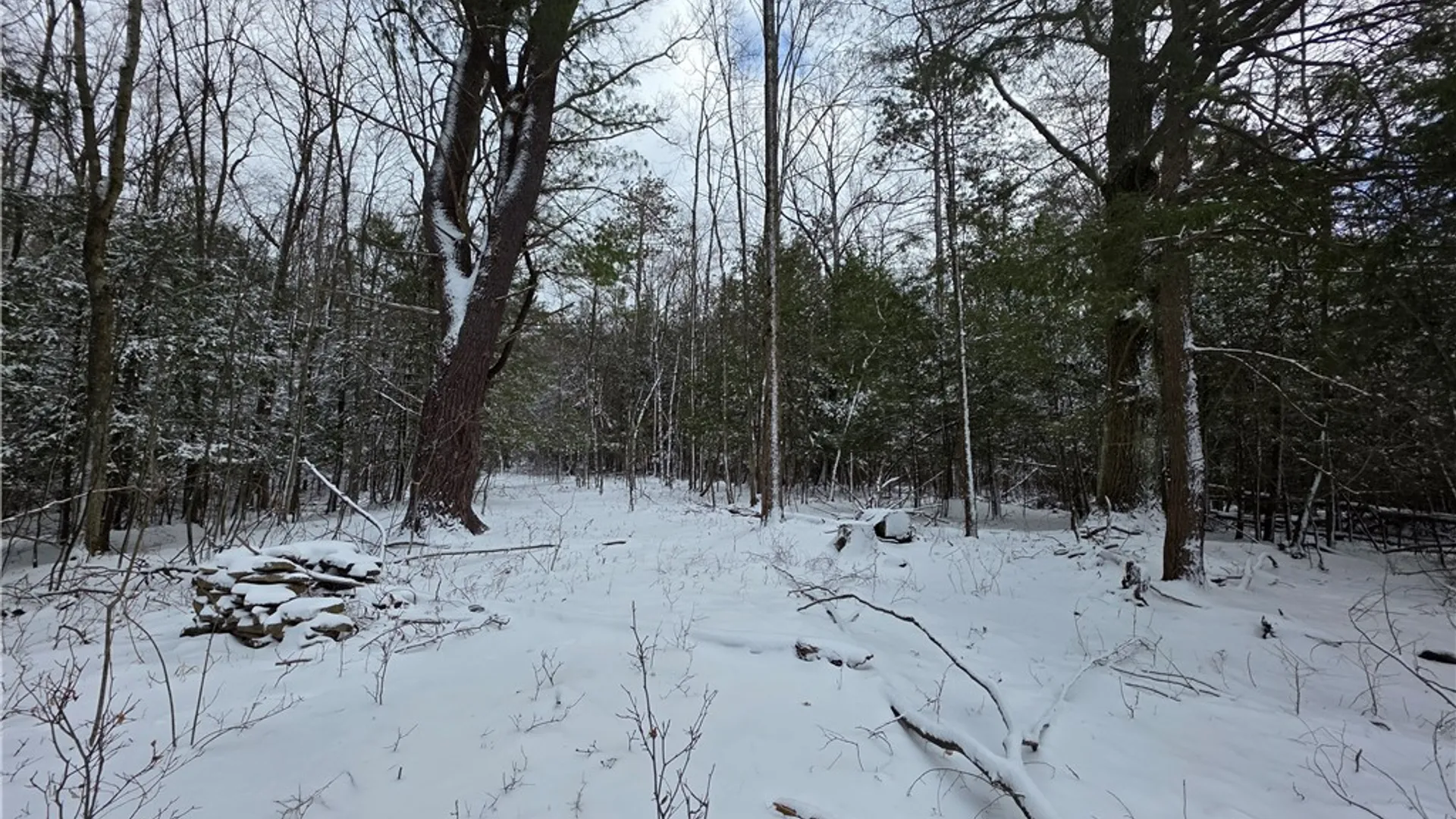 Property at 4679 Cook Road, Woodhull, NY 14898 18