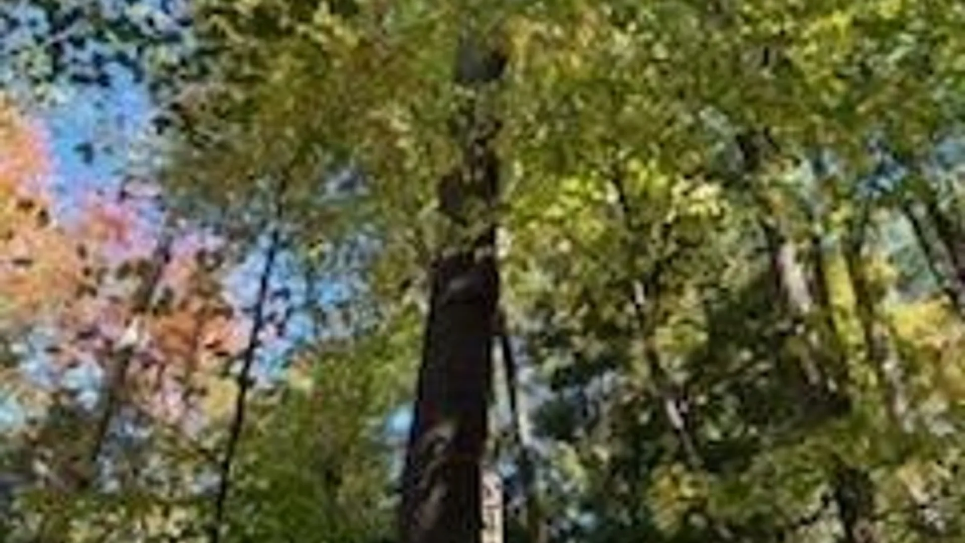 Property at 2552 Butts Road, North Harmony, NY 14710 3