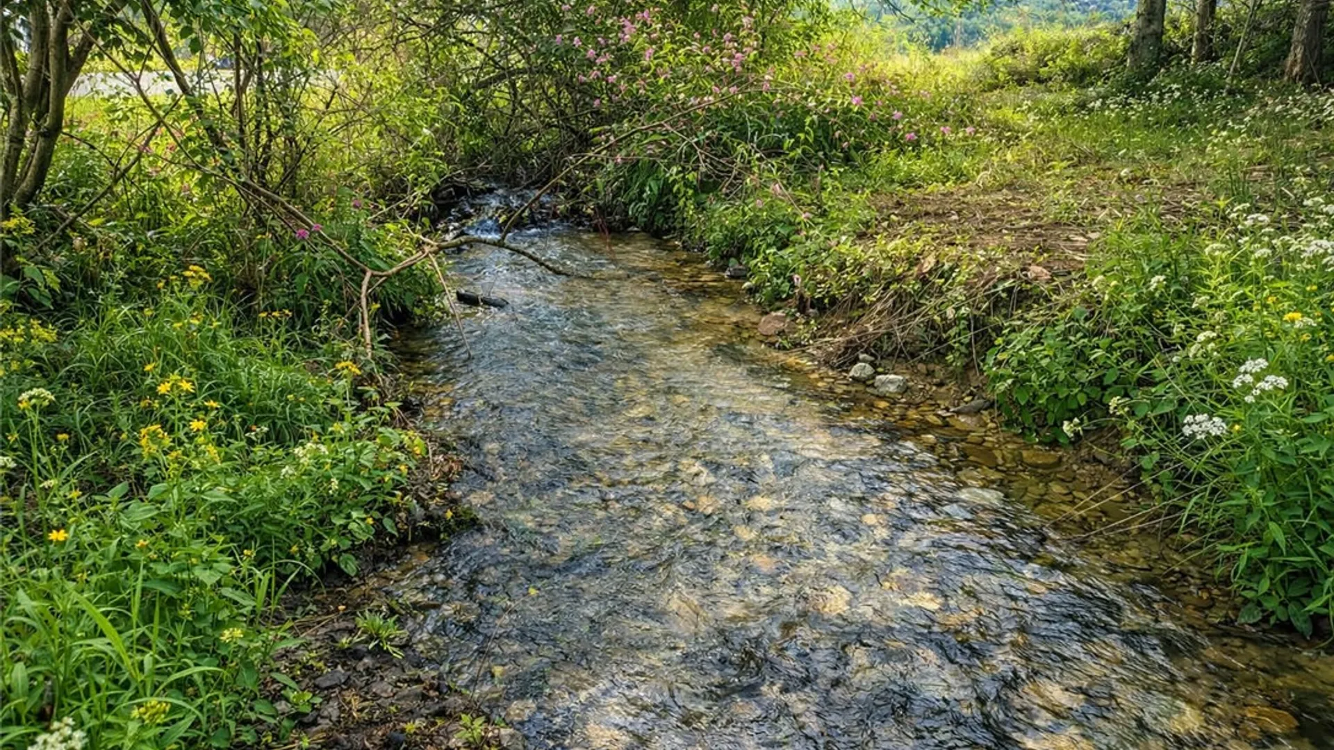 Property at 104 Brunner Road, Hartwick, NY 13326 32