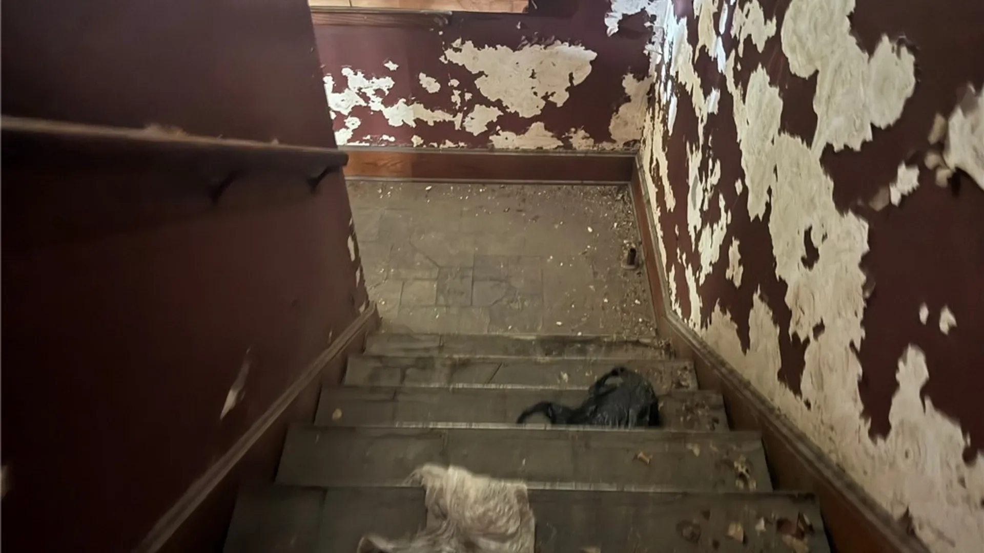 Property at 809 Ashland Avenue, Niagara Falls, NY 14301 21